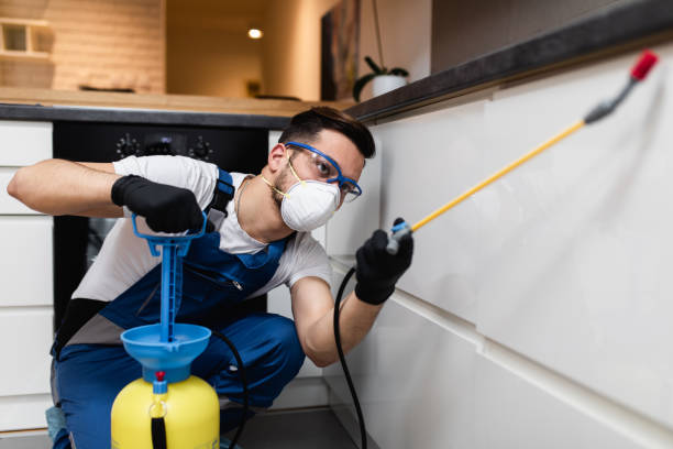 Best Cockroach Control Services  in Cicero, IL