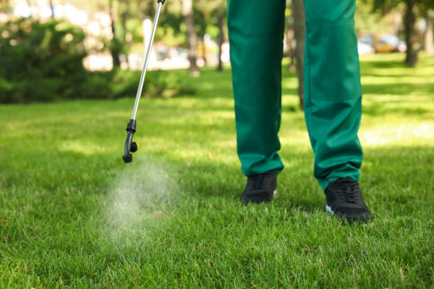Best Pest Prevention Services  in Cicero, IL
