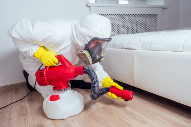 Reliable Cicero, IL Pest Control Solutions