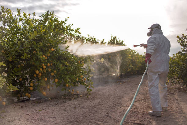 Best Residential Pest Control  in Cicero, IL