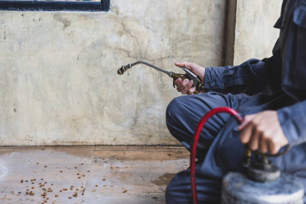 Best Best Pest Control Companies  in Cicero, IL